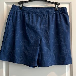 Chubbies athletic lined shorts. 5.5 inseam with 3 pockets. Size L.